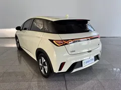 2023 BYD Dolphin 420km Fashion, белый — фото 6