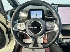 2023 BYD Dolphin 420km Fashion, белый — фото 9
