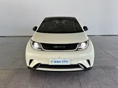 2023 BYD Dolphin 420km Fashion, белый — фото 26