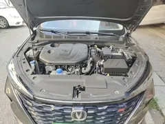 2021 Changan Eado PLUS 1.4T GDI DCT — фото 20