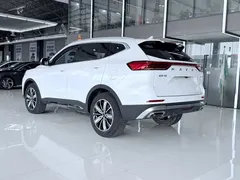 2023 Haval H6 1.5T AT, белый — фото 11