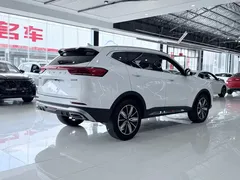 2023 Haval H6 1.5T AT, белый — фото 13