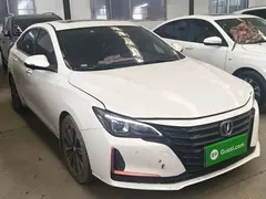 2021 Changan Raeton PLUS 1.5T DCT, белый — фото 22