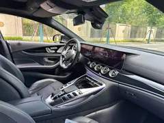 2020 Mercedes-Benz AMG GT 50 — фото 9