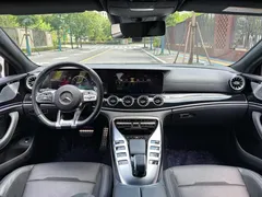 2020 Mercedes-Benz AMG GT 50 — фото 10