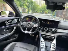 2020 Mercedes-Benz AMG GT 50 — фото 11