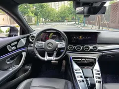 2020 Mercedes-Benz AMG GT 50 — фото 12