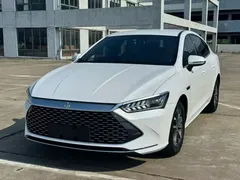 2023 BYD Qin PLUS 55KM, белый — фото 1