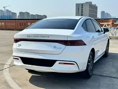 2023 BYD Qin PLUS 55KM, белый — фото 8