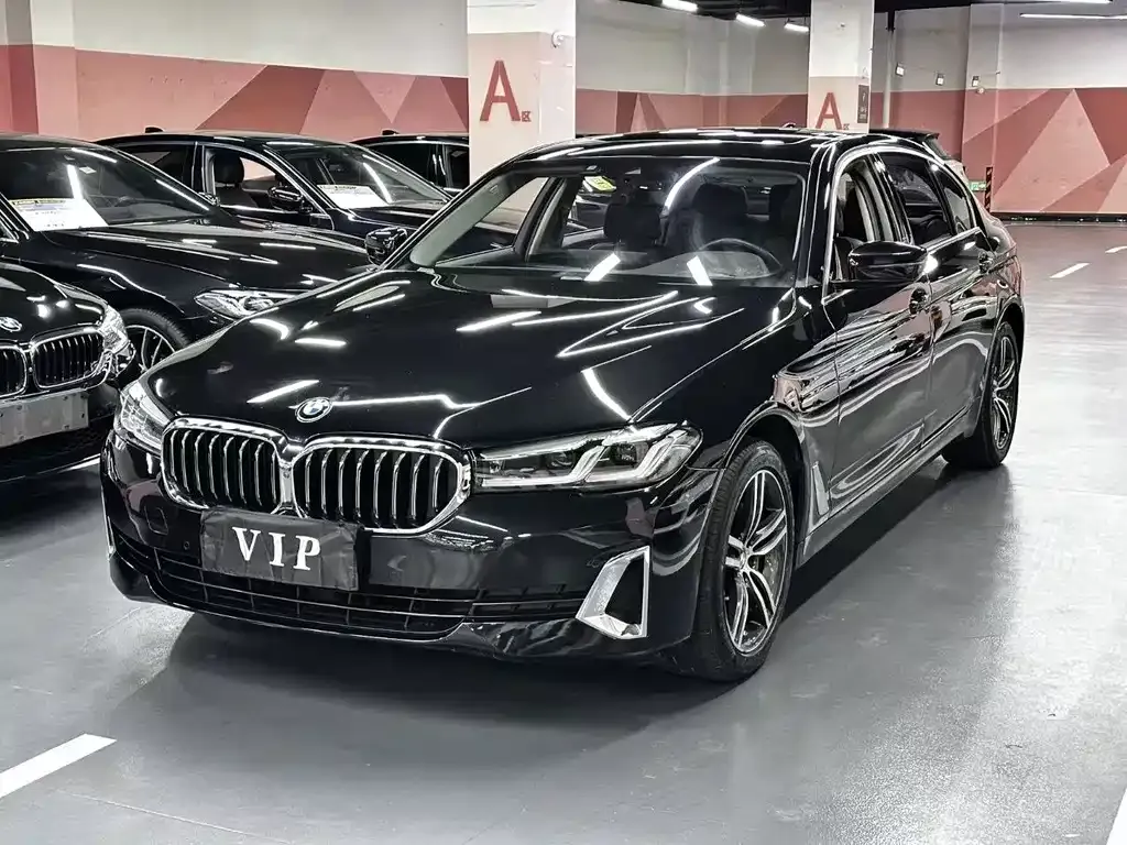 2021 BMW 5 Series 5 530Li