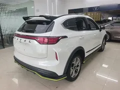 2022 Haval Chitu 1.5T, белый — фото 7
