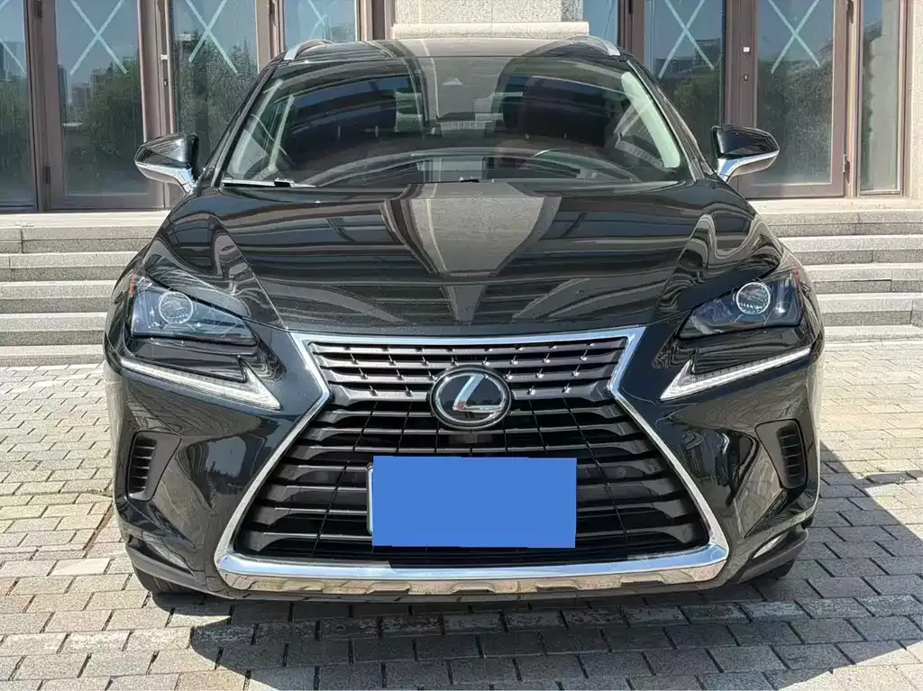 2018 Lexus NX 200 Fashion V