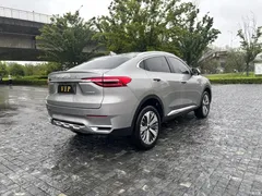 2021 Haval F7x 1.5T 2WD Jizhi Technology — фото 16