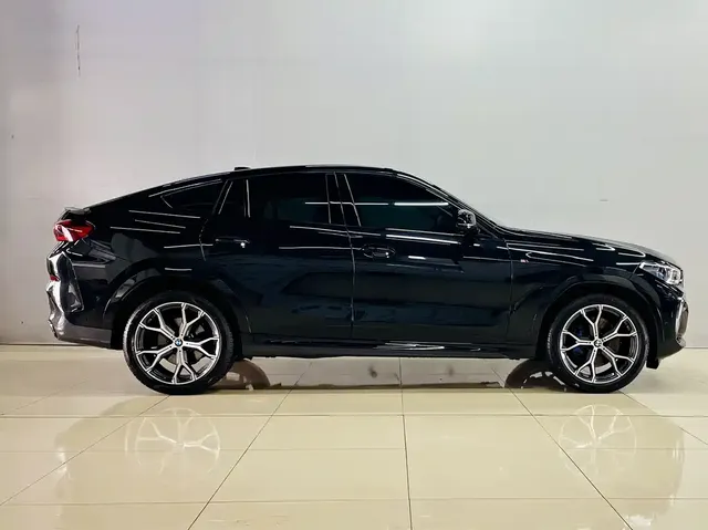 2022 BMW X6