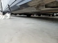 2022 Changan UNI-V 1.5T Premium — фото 22
