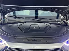 2021 BYD PLUS DM-i 110KM PLUS — фото 4