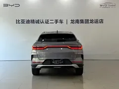 2021 BYD PLUS DM-i 110KM PLUS — фото 5