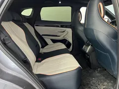 2021 BYD PLUS DM-i 110KM PLUS — фото 12