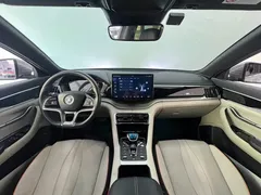 2021 BYD PLUS DM-i 110KM PLUS — фото 20