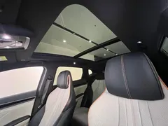 2021 BYD PLUS DM-i 110KM PLUS — фото 21