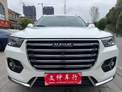 2021 Haval H6 1.5GDIT AT Champion, белый — фото 2