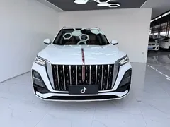 2023 Hongqi HS5 2.0T 4WD Pro50, белый — фото 2