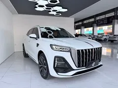 2023 Hongqi HS5 2.0T 4WD Pro50, белый — фото 3