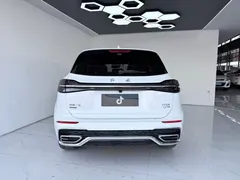 2023 Hongqi HS5 2.0T 4WD Pro50, белый — фото 8
