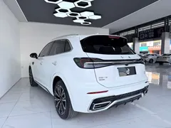 2023 Hongqi HS5 2.0T 4WD Pro50, белый — фото 9