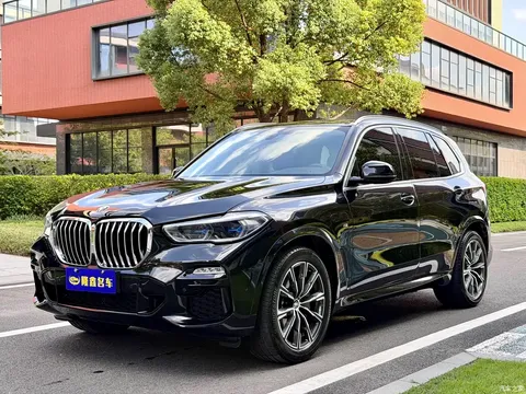 2021 BMW X5 New Energy (Imported) xDrive45e M Sports Package