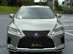 2020 Lexus RX 450hL 4WD 7 — фото 2