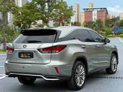 2020 Lexus RX 450hL 4WD 7 — фото 9