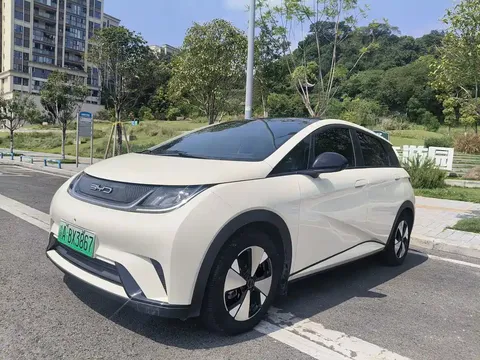 2023 BYD Dolphin 420km Fashion