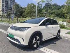 2023 BYD Dolphin 420km Fashion — фото 1