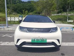 2023 BYD Dolphin 420km Fashion — фото 2