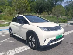 2023 BYD Dolphin 420km Fashion — фото 3