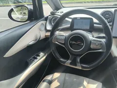 2023 BYD Dolphin 420km Fashion — фото 10