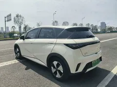 2023 BYD Dolphin 420km Fashion — фото 14