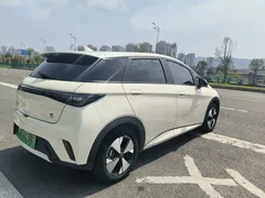 2023 BYD Dolphin 420km Fashion — фото 16