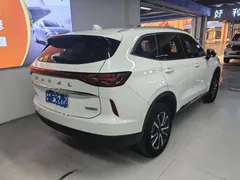 2022 Haval H6 3rd Gen 1.5T AT 2WD Max, белый — фото 3