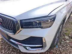 2021 Geely Monjaro 2.0TD DCT EVO 2WD Premium, белый — фото 24