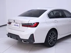 2023 BMW 3 Series 320Li M Sport Package, белый — фото 8
