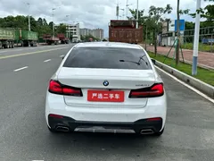 2021 BMW 5 Series 530Li Leading M Sport Package, белый — фото 8