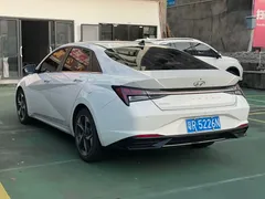 2022 Hyundai Elantra 1.5L CVT LUX Premium, белый — фото 9