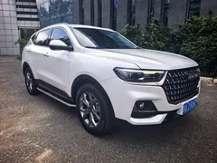 2021 Haval H6 1.5GDIT AT, белый — фото 2