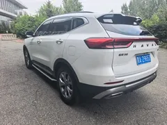 2021 Haval H6 1.5GDIT AT, белый — фото 7