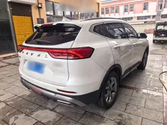 2021 Haval H6 1.5T AT, белый — фото 7