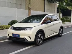 2023 BYD Dolphin 420km Fashion, белый — фото 1