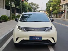 2023 BYD Dolphin 420km Fashion, белый — фото 2