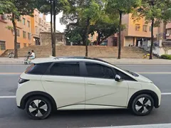 2023 BYD Dolphin 420km Fashion, белый — фото 4